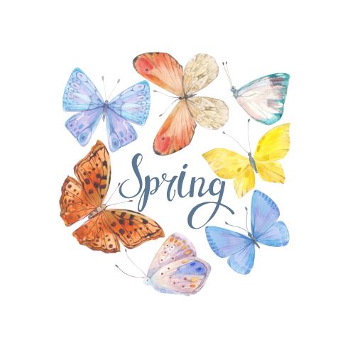 Rasterbild aquarellschmetterlinge, schriftzug spring auf weißem
