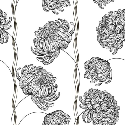 Chrysantheme. Vektor Chrysanthemen, wellenförmige Linien auf weißem