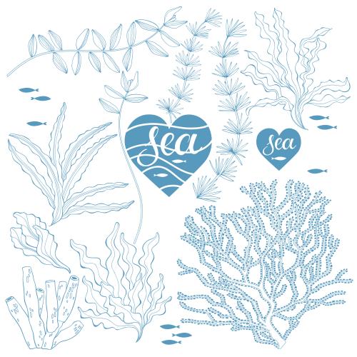 Vektorgrafik algen, korallen, fischchen, herzchen mit der aufschrift "sea" auf weißem