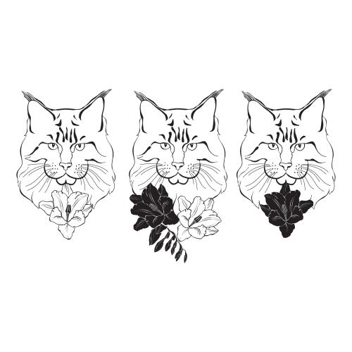 Maine coon. Vektor maine Coon, Katzenmienen und Blumen auf weißem, drei Varianten