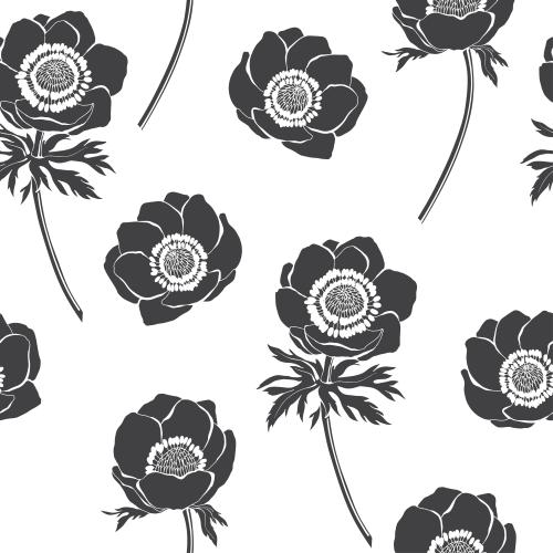 Anemone. Vektor Anemone, schwarze Silhouetten von Blumen auf weißem
