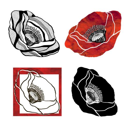 Mohn. Vektor Mohnblumen, vier verschiedene Varianten auf weißem
