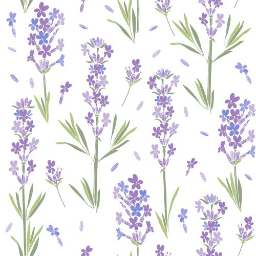 Lavendel. Vektor Lavendel, farbige Silhouetten auf weißem