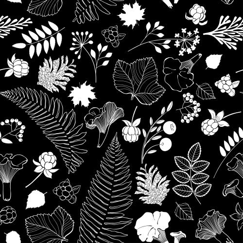Wald. Vektor Farnblätter, Blumen, Tannenknospen, Lisichengriffe, Brombeere, Heidelbeere, Johannisbeere auf schwarzem