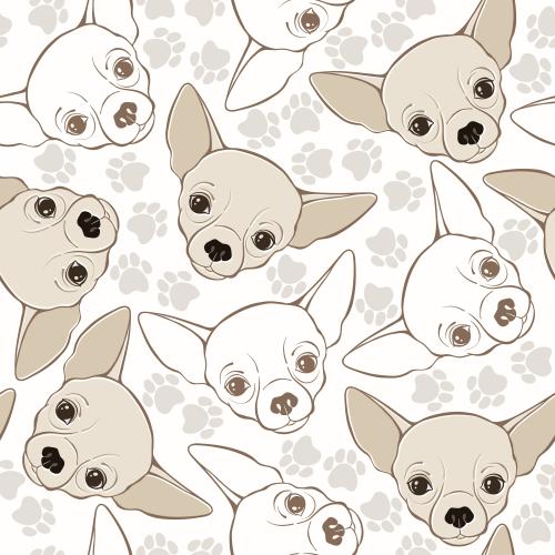 Hund. Vektor gesichter süßer Chihuahuas, Fußabdrücke auf hellem