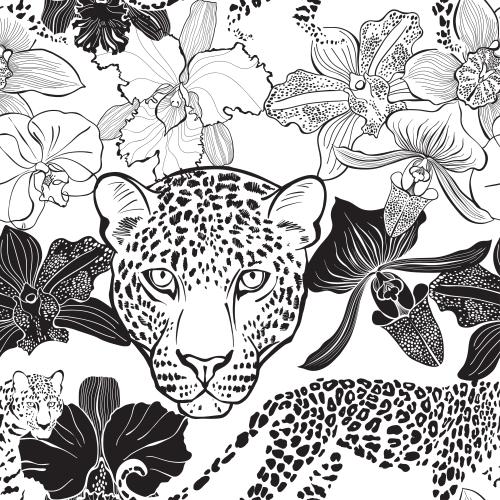 Orchidee. Vektor leoparden und Orchideen auf weißem