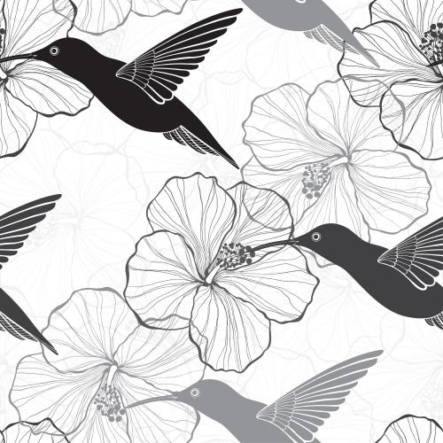 Vogel. Vektor monochromen Kolibrisilhouetten Konturzeichnungen Hibiskusblüten auf weißem