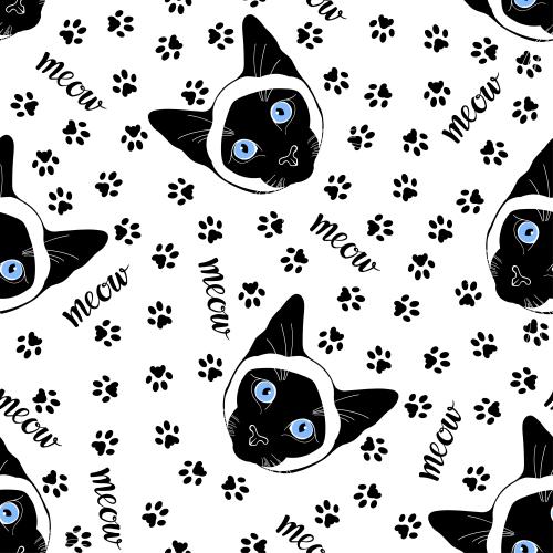 Siamkatze. Vektor Hübsche Gesichter siamesischer Katzen, Pfotenabdrücke und Schriftzüge meow auf weißem