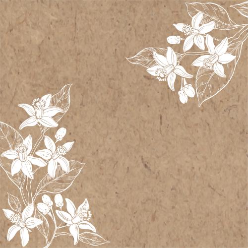 Neroli. Vektor Neroli-Blumen Textplatz auf Kraftpapier Eckige Komposition