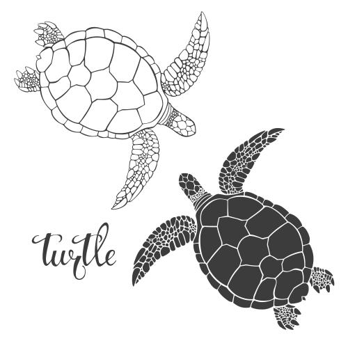 Schildkröte. Vektor Schildkröten, Kontur und Silhouette auf weißem