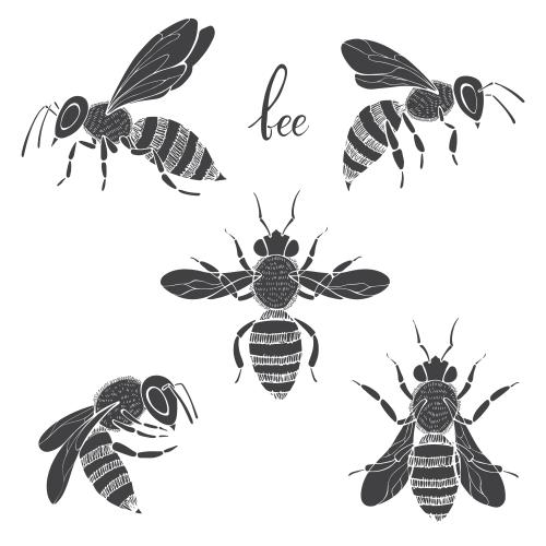 Biene. Vektor Bienen, fünf Silhouetten auf weißem