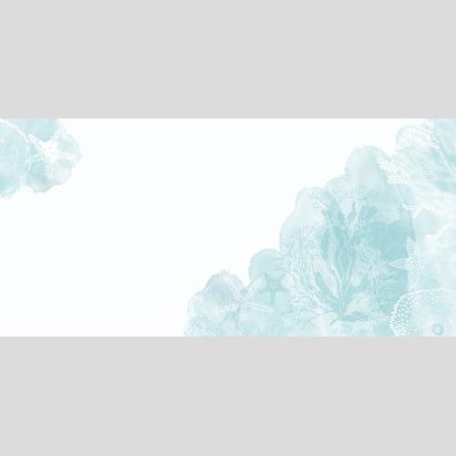 Vektorgrafik meeresstern, korallen, algen, aquarellfragmente, platz für text auf weiß