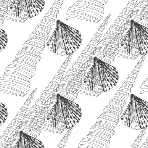 Vektorgrafik muscheln, schwarze konturen auf weiß