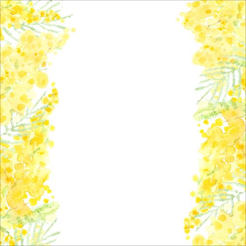 Rasterbild aquarellmimose, textbereich in der mitte auf weißem
