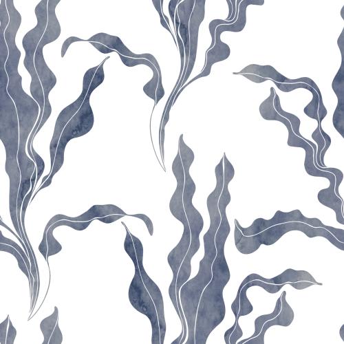 Rasterbild aquarellmeeresalgen auf weißem