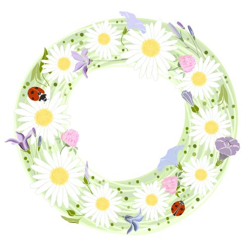 Klee. Vektor runde Rahmen aus Feldblumen mit Marienkäfern auf weißem