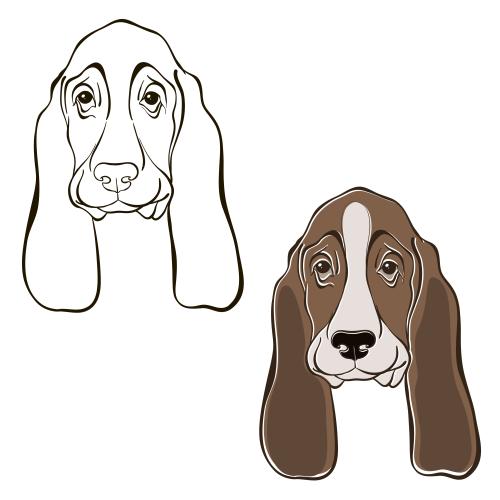 Vektorgrafik köpfe basset hunde auf weißem