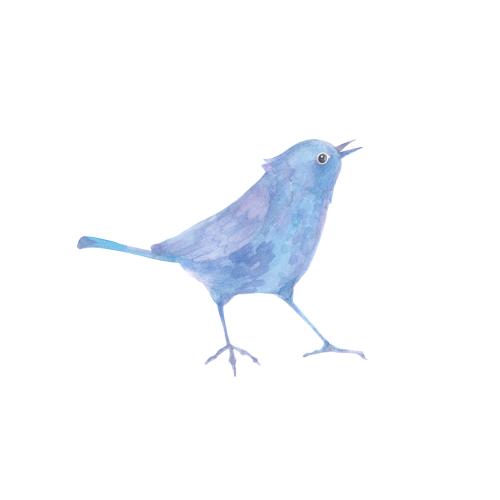 Rasterbild maltiöse aquarellvogel auf weißem