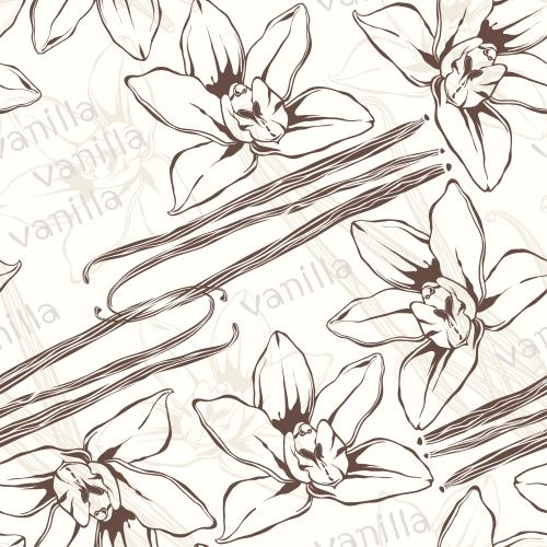 Vektorgrafik blumen und vanillestangen auf hell