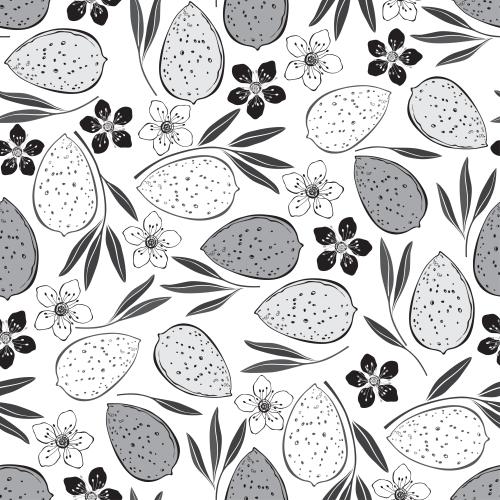 Mandel. Vektor Mandel, Nüsse, Blumen und Blätter, monochrome Bilder auf weißem