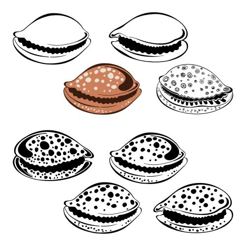 Vektorgrafik muscheln auf weißem, acht varianten
