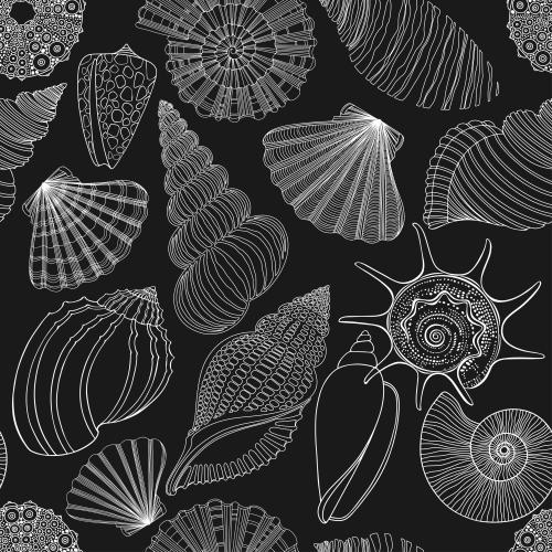 Seeigel. Vektor Muscheln, Nautili, Korallen, Seeigel, weiße Konturen auf schwarzem