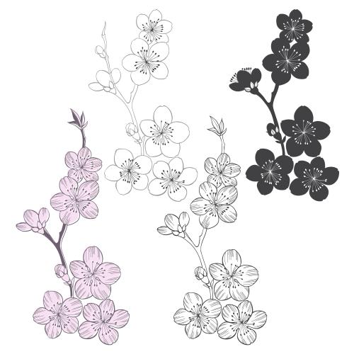 Kirschblüte. Vektor blühende Kirschzweige, Konturen und Silhouetten auf Weiß, vier Varianten