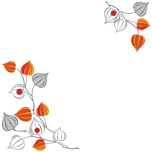 Herbst. Vektor Physalis, Textfläche auf weißem, Eckkomposition