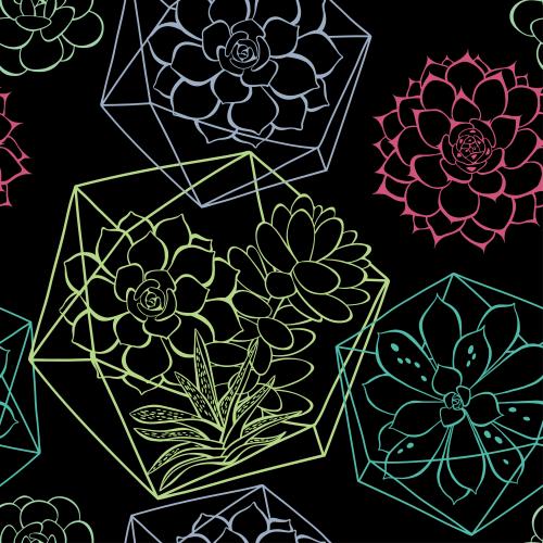 Sukkulente. Vektor sukkulenten im Florarium und ohne, farbige Konturen auf schwarzem