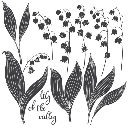 Vektorgrafik lilien schwarze silhouetten auf weißem