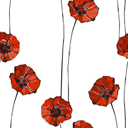 Mohn. Vektor rote Mohn auf weissm