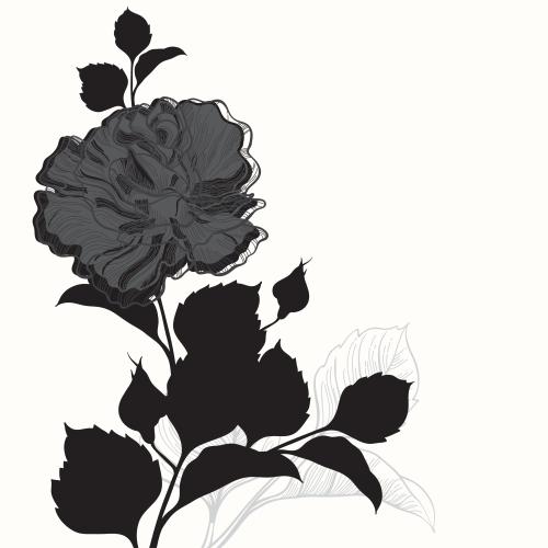 Rose. Vektor Rosa mit Knospen und Blättern auf weißem