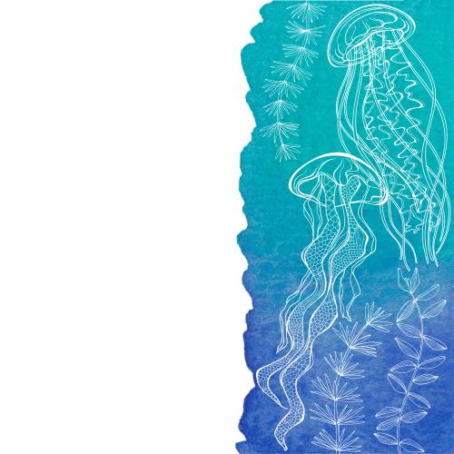 Qualle. Vektor Medusen, Algen auf einem aquarellierten blauen Fragment, Textplatz auf weißem