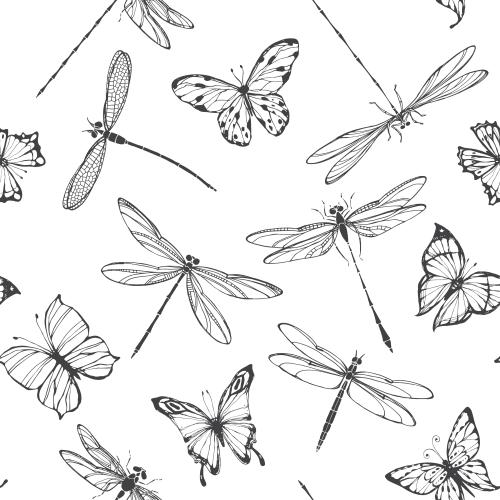 Libelle. Vektor schmetterlinge und Libellen auf weissem