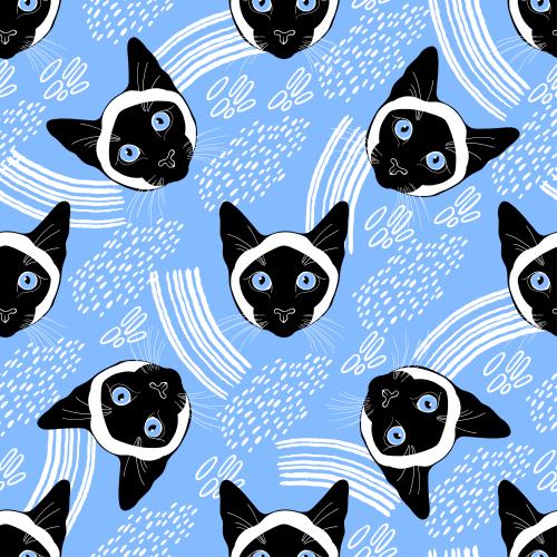 Siamkatze. Vektor siamese Katzen, hübsche Gesichter und dekorative Stücke auf blauem
