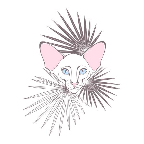 Oriental katze. Vektor Oriental Katze, hübsches Gesicht und Palmenblätter auf weißem