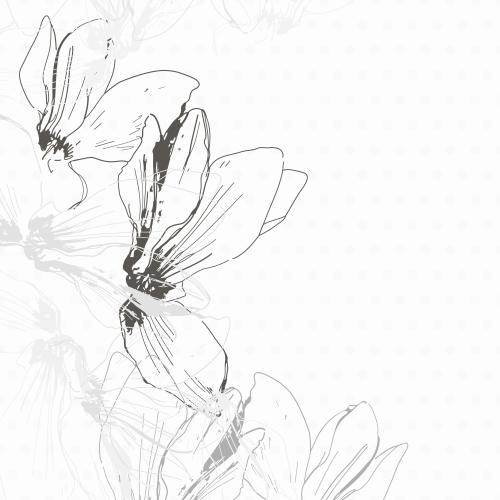 Vektorgrafik cyclamenblumen, eckkomposition auf weissem