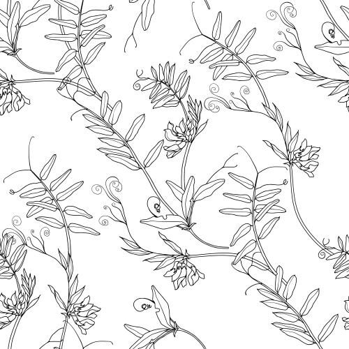 Vektorgrafik feldblumen, konturen auf weißem