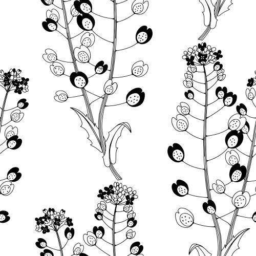 Bild dekorative Wiesenblumen auf weißem