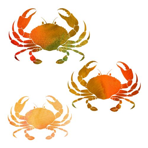 Krabbe. Vektor aquarellkrabben auf weißem, drei Varianten