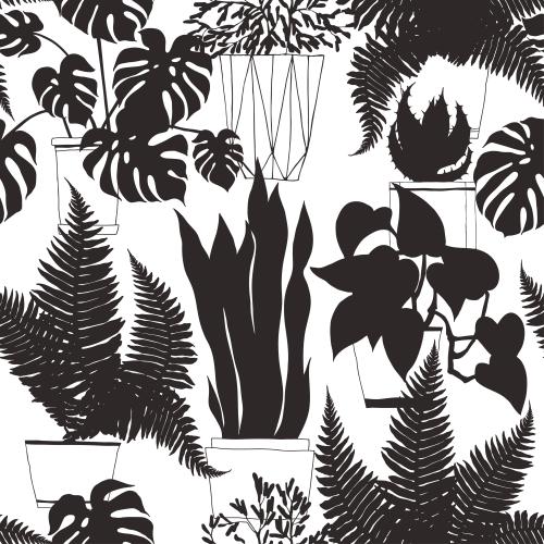 Monstera. Vektor zimmerpflanzen in Töpfen, Silhouetten auf weißem