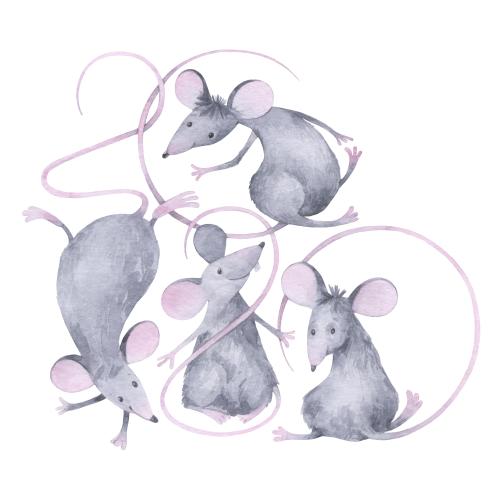 Ratte. Vektor Hübsche cartoonartige Aquarellratten auf weißem