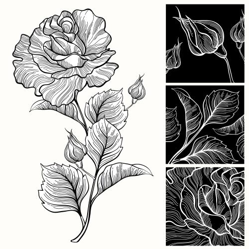 Rose. Vektor Rosa und Blütenfragmente in schwarzen Quadraten