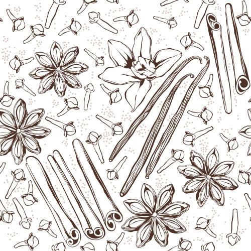 Zimt. Vektor Zimt- und Vanillestangen, Nelke, Anis, Vanilleblüte auf weißem