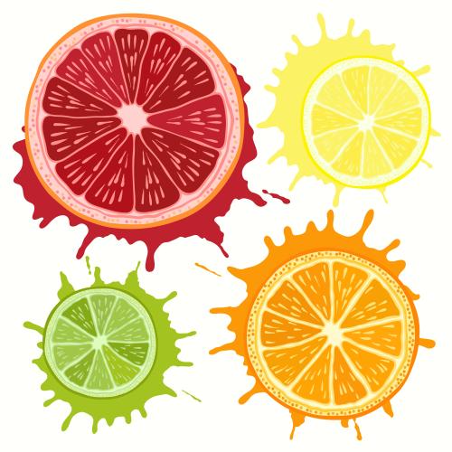 Zitrone. Vektor Grapefruit Orange Limette Zitrone auf Saftflecken isolierte Elemente