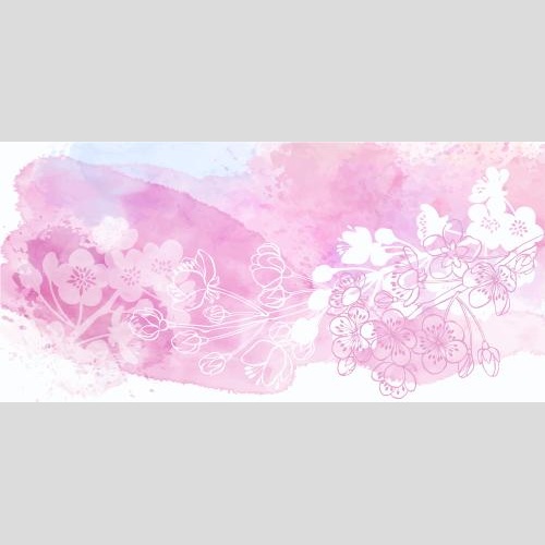 Aprikose. Vektor blühende Aprikosenzweige auf rosa Aquarell