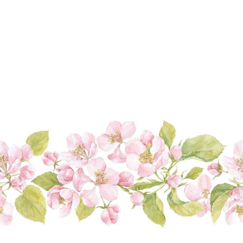 Rasterbild aquarellblumen und blätter der apfelbäume, platz für text auf weißem