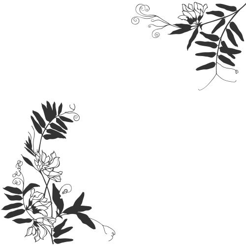 Vektorgrafik feldblumen schwarze silhouetten platz für text auf weissem eckige komposition