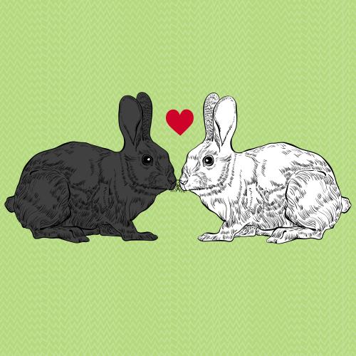 Valentinstagskarten. Vektor verliebte schwarze und weiße Kaninchen auf grünem Gras