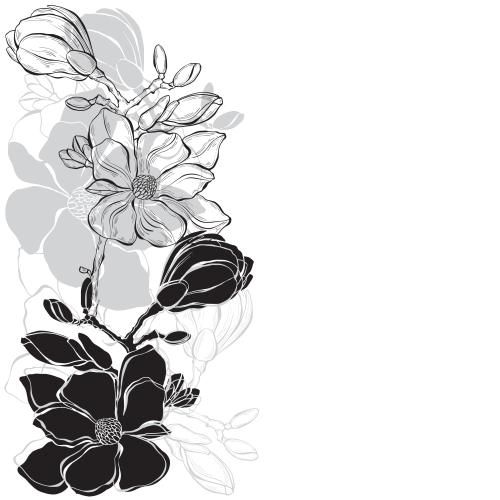 Knospe. Vektor Magnolie, monochrome Konturen und Silhouetten von Blumen, Platz für Text auf weißem